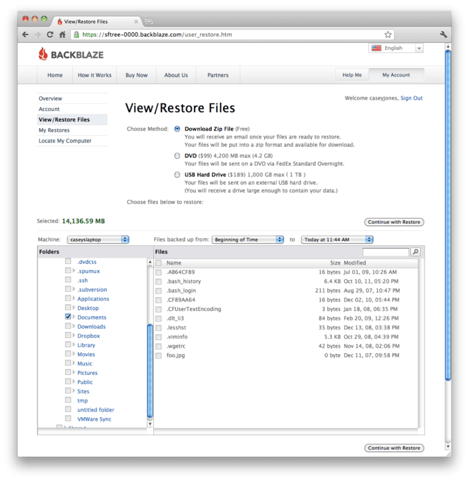 pros and cons of backblaze